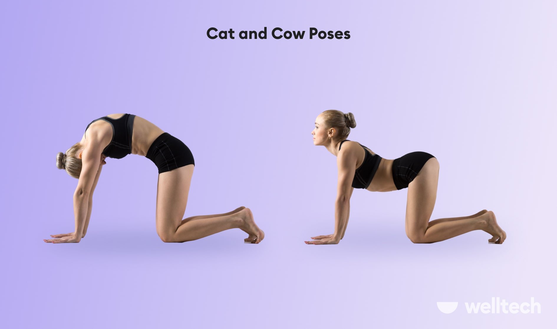 https://welltechdev.wpengine.com/wp-content/uploads/2023/08/Cat_and_Cow_Poses_yoga-for-posture.jpg
