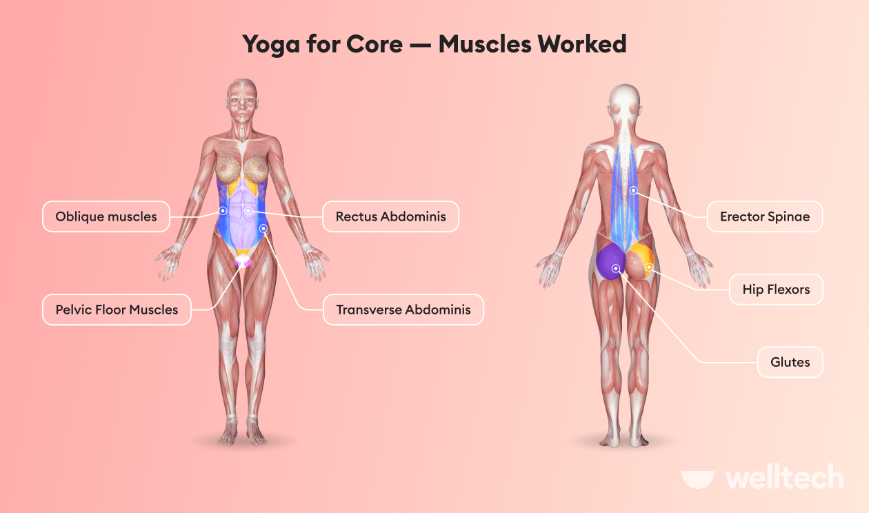 https://welltechdev.wpengine.com/wp-content/uploads/2023/04/core-muscles_core-yoga-poses.png