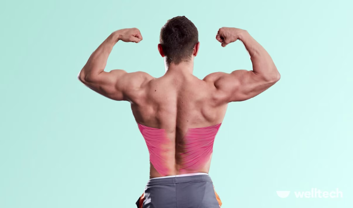 Best Home Lat Exercises [Dumbbells, Resistance Bands & Bodyweight]