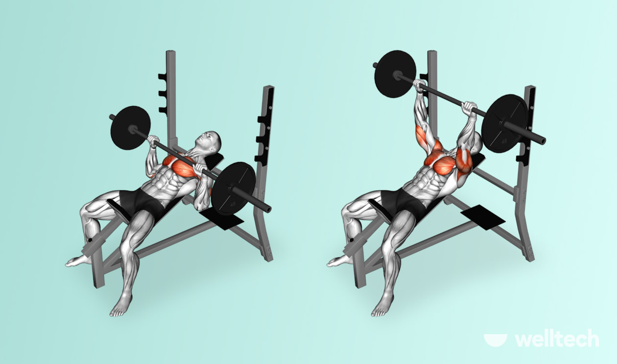 https://welltechdev.wpengine.com/wp-content/uploads/2022/09/Incline-Bench-Press_chest-and-bicep-workout.jpg