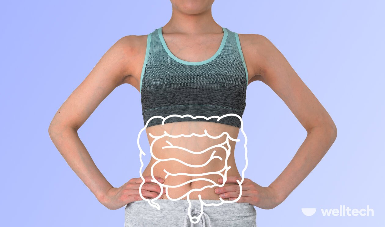Foods Good for Gut Health: Your Guide to a Happy Gut