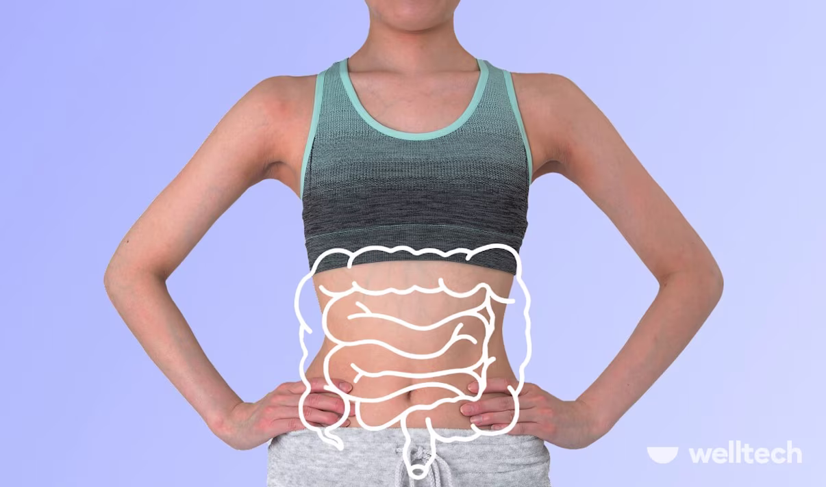 Foods Good for Gut Health: Your Guide to a Happy Gut
