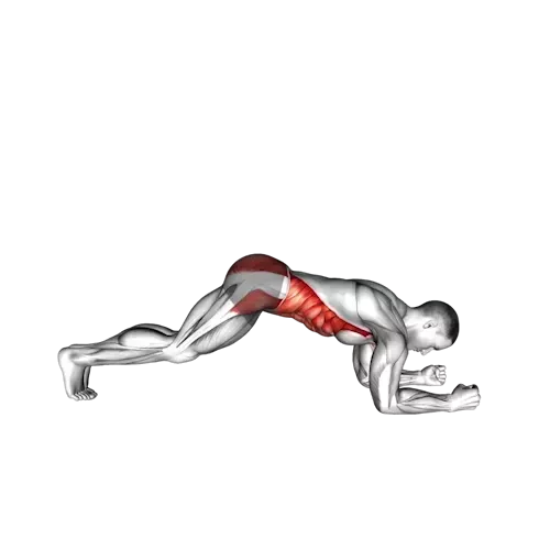 https://welltechdev.wpengine.com/wp-content/uploads/2023/10/3_Plank.webp
