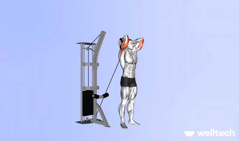 https://welltechdev.wpengine.com/wp-content/uploads/2023/09/cable_overhead_triceps_extension_push-workouts.webp