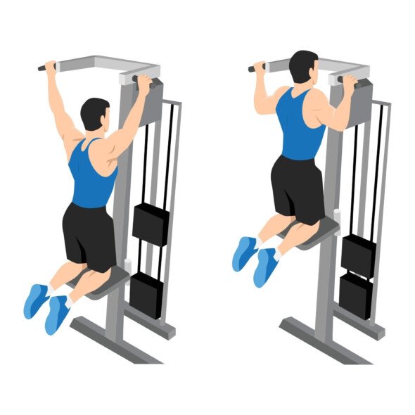 https://welltechdev.wpengine.com/wp-content/uploads/2024/12/Assisted-pull-up-machine--590x590.jpg
