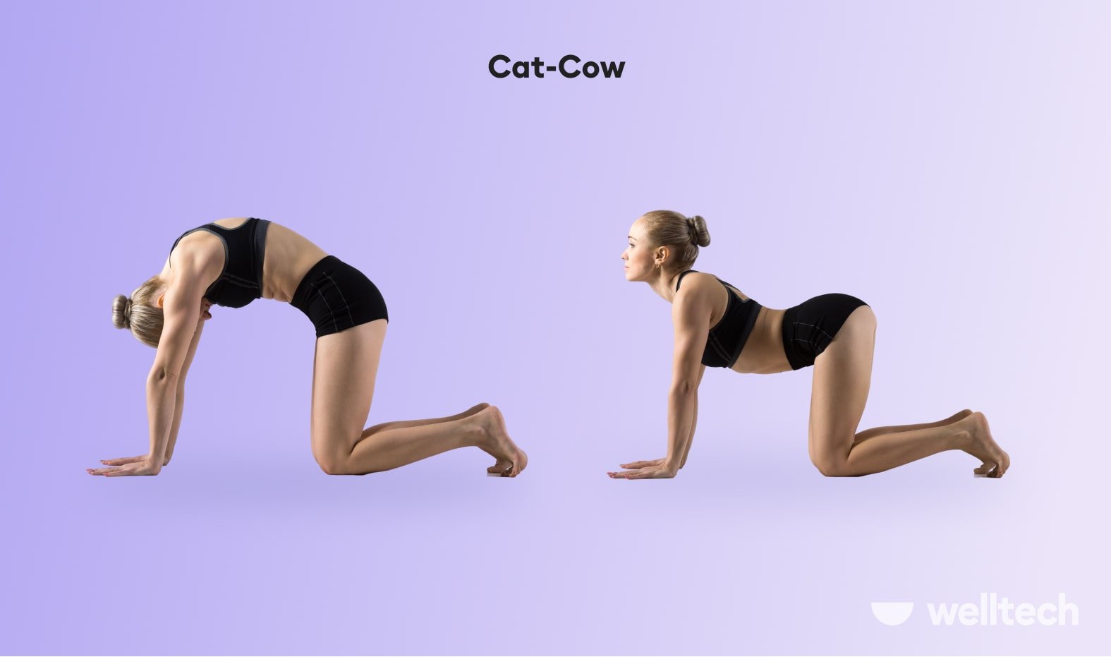 https://welltechdev.wpengine.com/wp-content/uploads/2023/05/Cat-Cow_stretches-to-decompress-spine.jpg