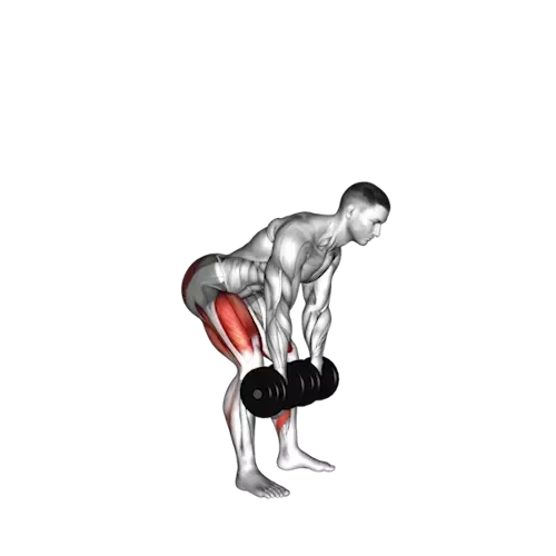 https://welltechdev.wpengine.com/wp-content/uploads/2023/10/6_Deadlift.webp