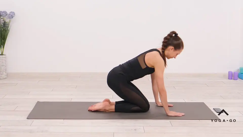 https://welltechdev.wpengine.com/wp-content/uploads/2022/12/Internally-Rotated-Pigeon-Pose-With-a-Side-Stretch-and-Twist_cool-down-yoga.webp