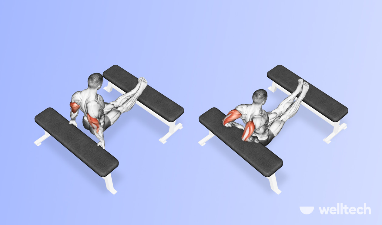 https://welltechdev.wpengine.com/wp-content/uploads/2022/09/bench-dips_what-muscles-do-dips-work.jpg