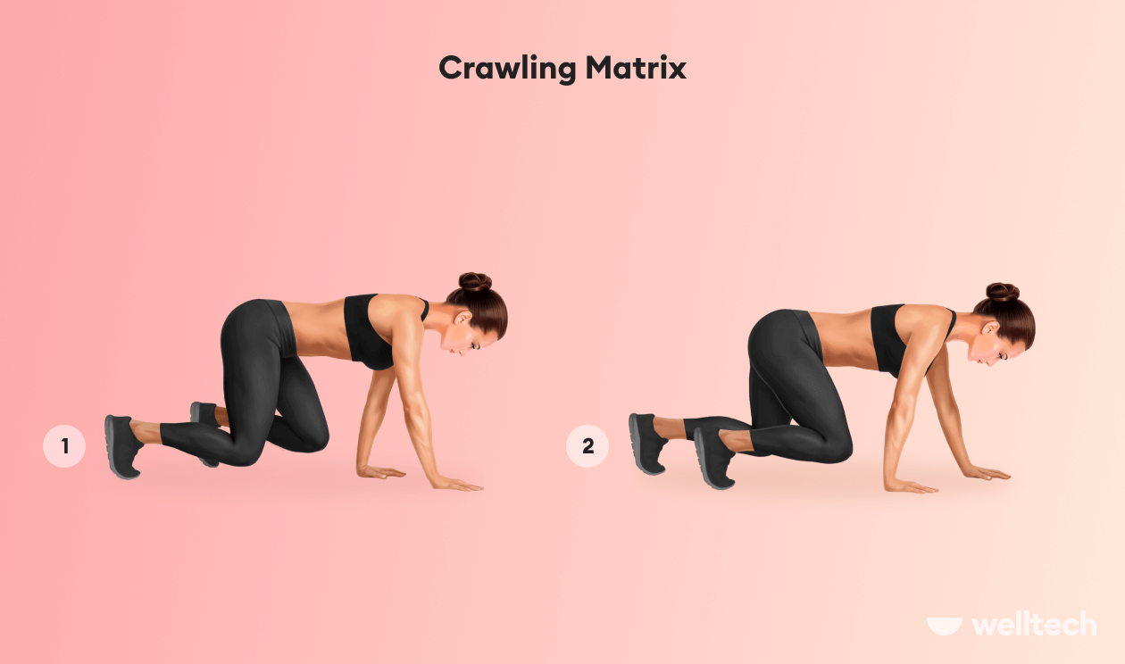 https://welltechdev.wpengine.com/wp-content/uploads/2022/08/Crawling-Matrix.png
