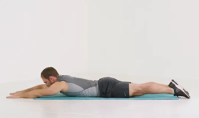 https://welltechdev.wpengine.com/wp-content/uploads/2023/10/Contralateral-Limb-Raises_back-exercises-without-weights.webp