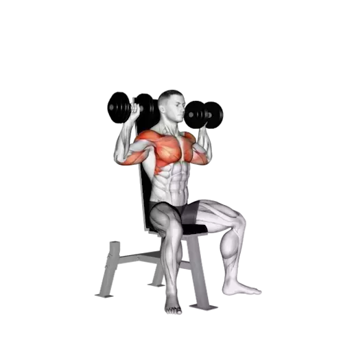 https://welltechdev.wpengine.com/wp-content/uploads/2023/10/6_Shoulder-press.webp