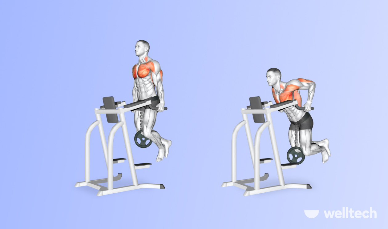 https://welltechdev.wpengine.com/wp-content/uploads/2022/09/chest-dips-with-weight_what-muscles-do-dips-work.jpg