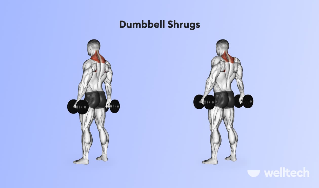 https://welltechdev.wpengine.com/wp-content/uploads/2023/02/Dumbbell-Shrugs_back-and-shoulder-workout.jpg