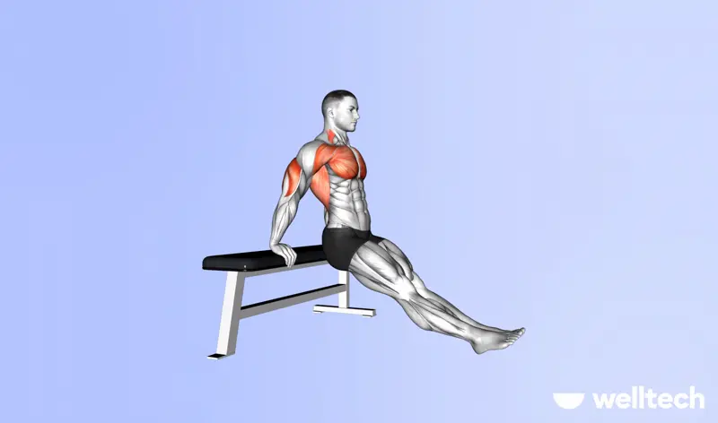 https://welltechdev.wpengine.com/wp-content/uploads/2023/09/bench_dips_push-workouts.webp
