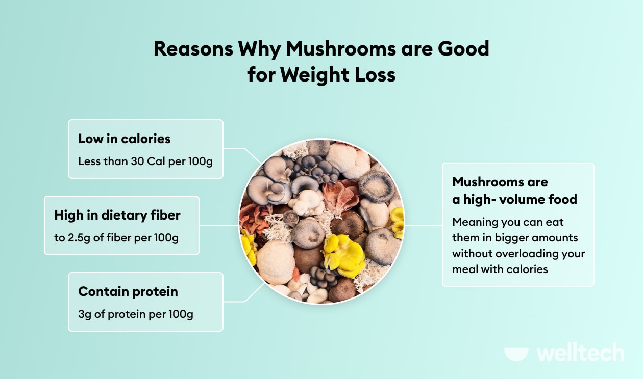 https://welltechdev.wpengine.com/wp-content/uploads/2023/03/why-muschrooms-are-good-for-weight-loss.jpg
