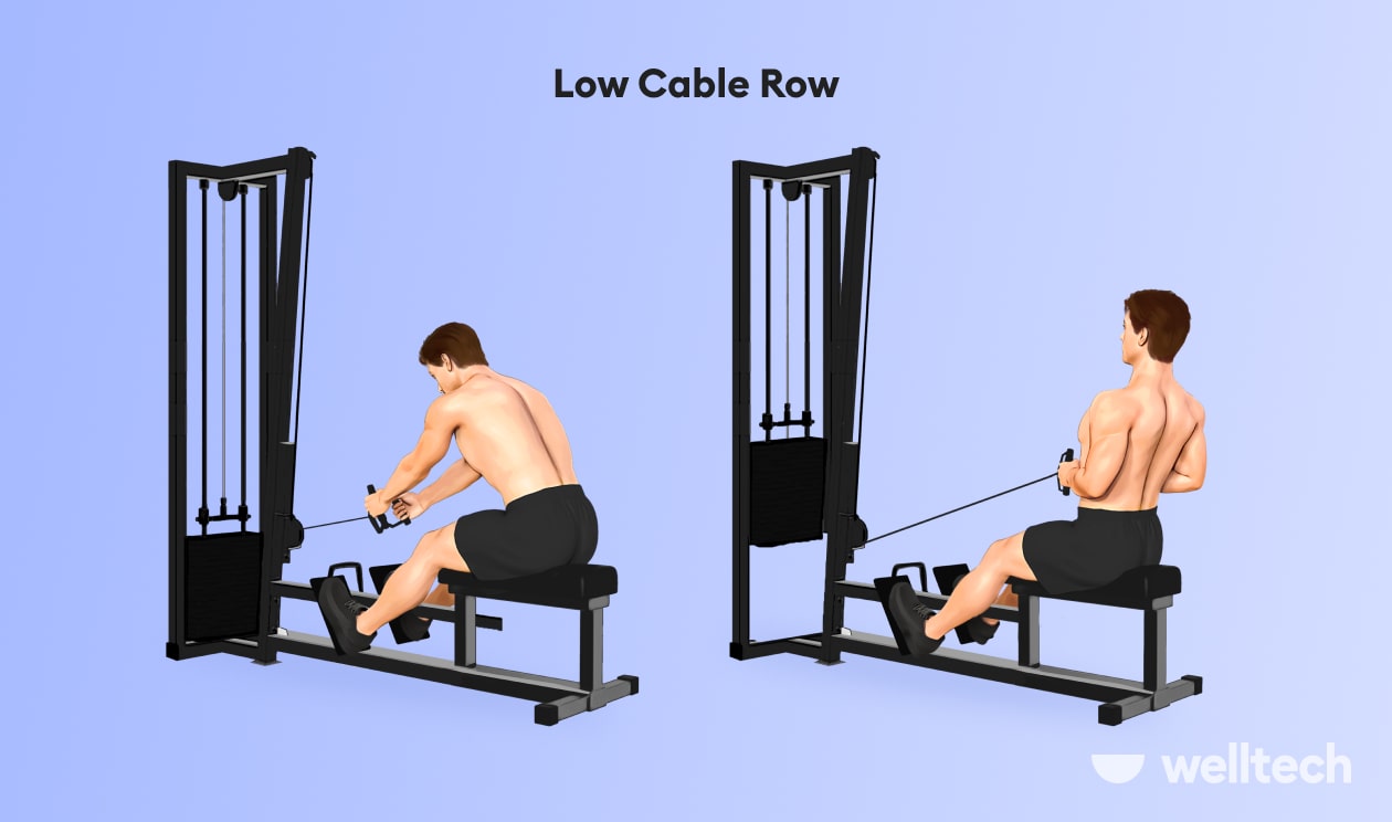 https://welltechdev.wpengine.com/wp-content/uploads/2022/09/low-cable-row_meadows-row-min.jpg