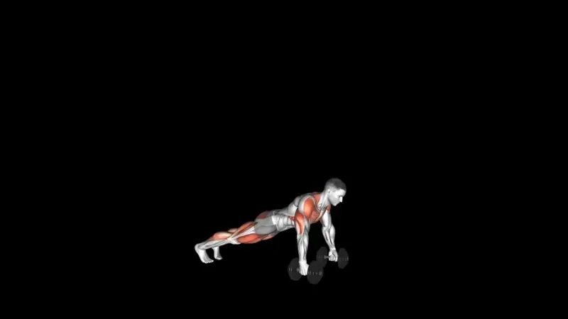 Push-Up Thruster . Weight Loss Gym Routine for Beginners 