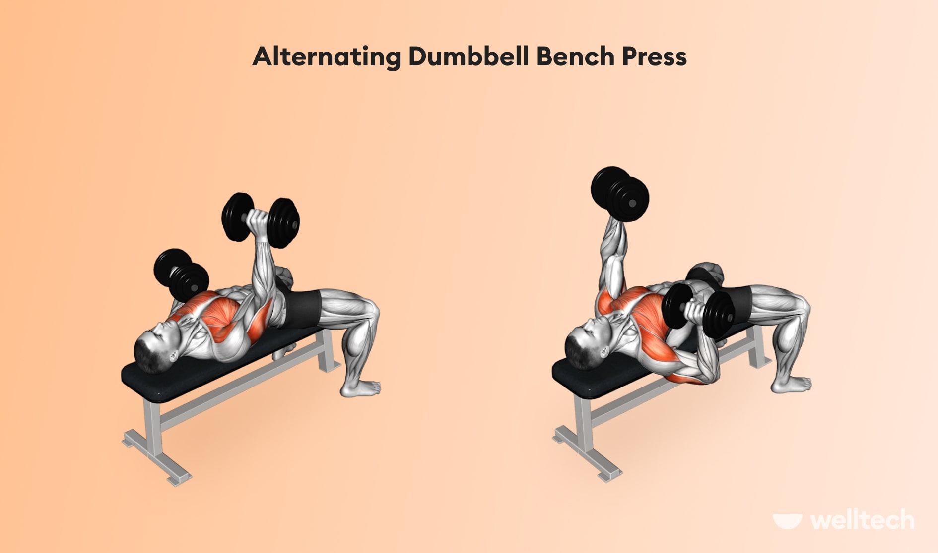 https://welltechdev.wpengine.com/wp-content/uploads/2022/12/Alternating-Dumbbell-Bench-Press_chest-and-shoulder-workout.jpg