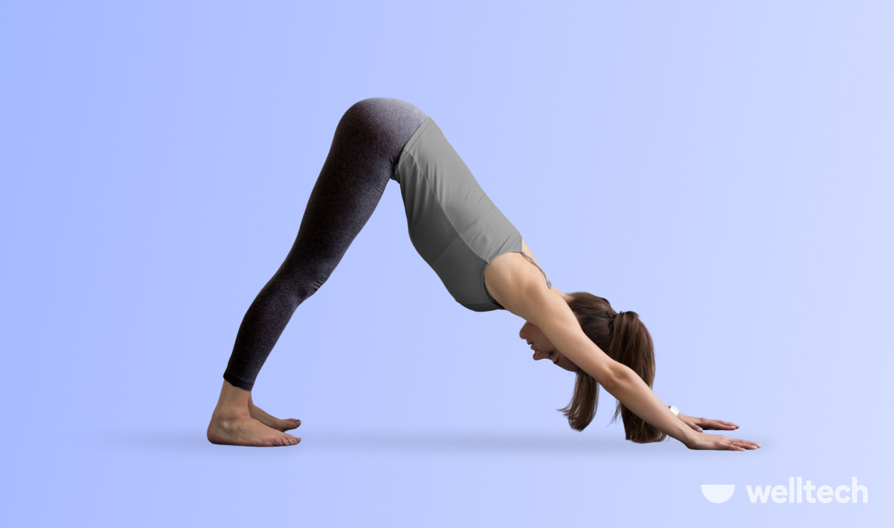 https://welltechdev.wpengine.com/wp-content/uploads/2023/03/Downward-Facing-Dog-Adho-Mukha-Svanasana_yoga-inversions.jpg