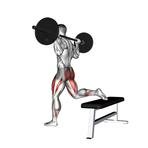 https://welltechdev.wpengine.com/wp-content/uploads/2023/10/2_Bulgarian-Split-Squat.webp