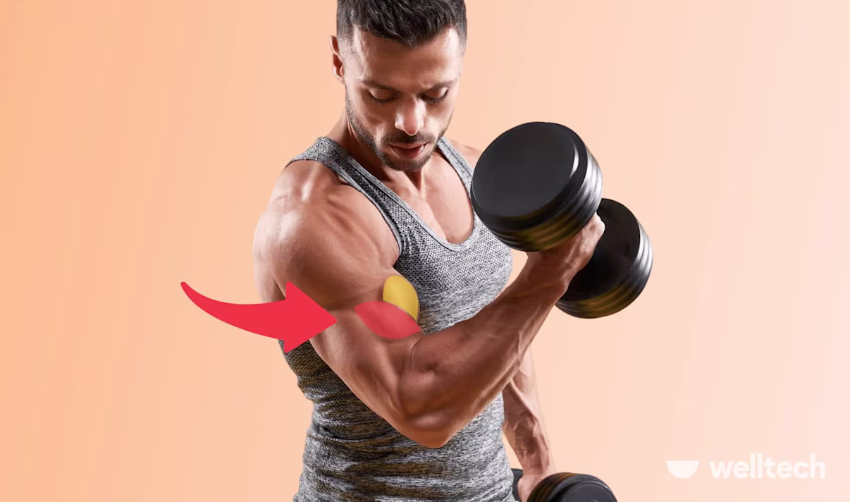 Brachialis Workout to Build Bicep Peaks (Minimal Equipment)