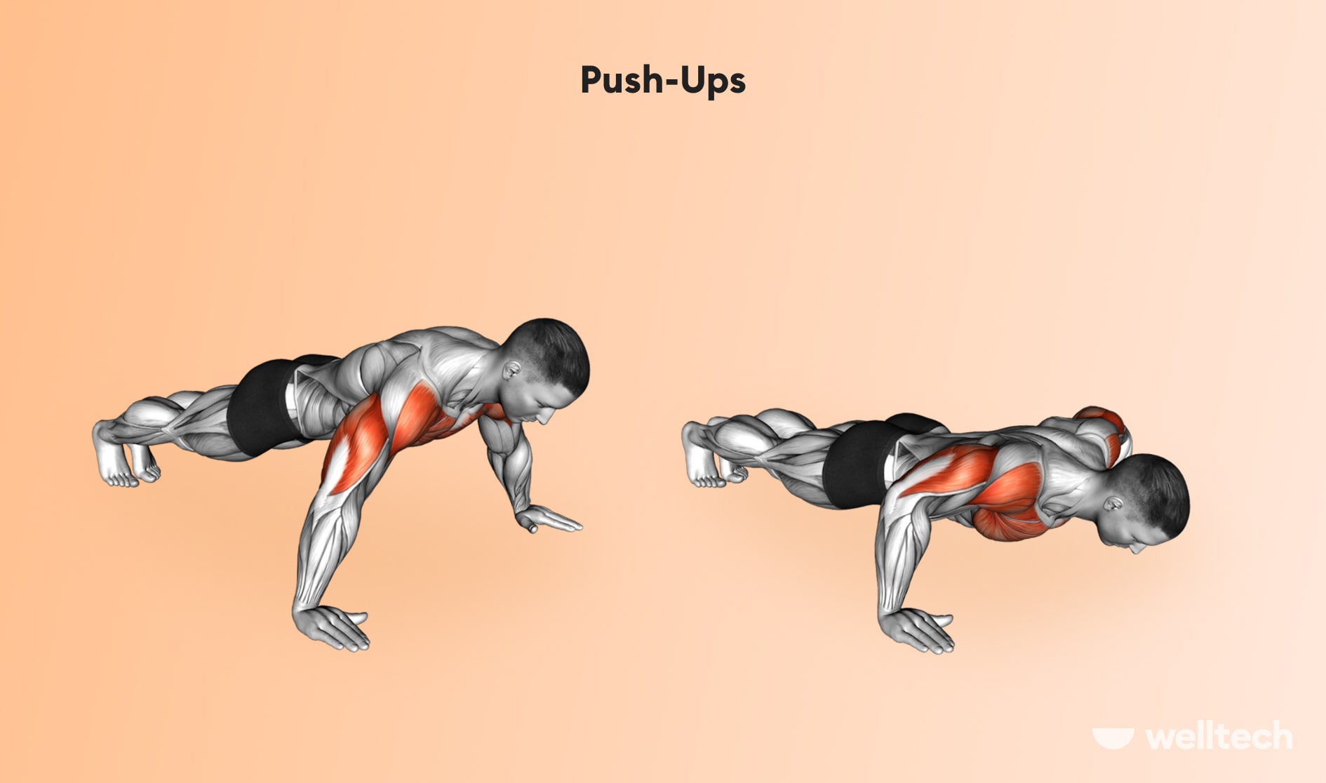 https://welltechdev.wpengine.com/wp-content/uploads/2022/12/Push-Ups_chest-and-shoulder-workout.jpg