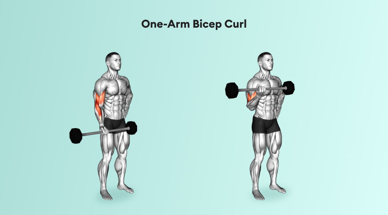 https://welltechdev.wpengine.com/wp-content/uploads/2022/08/one-arm-bicep-curl-min.jpg