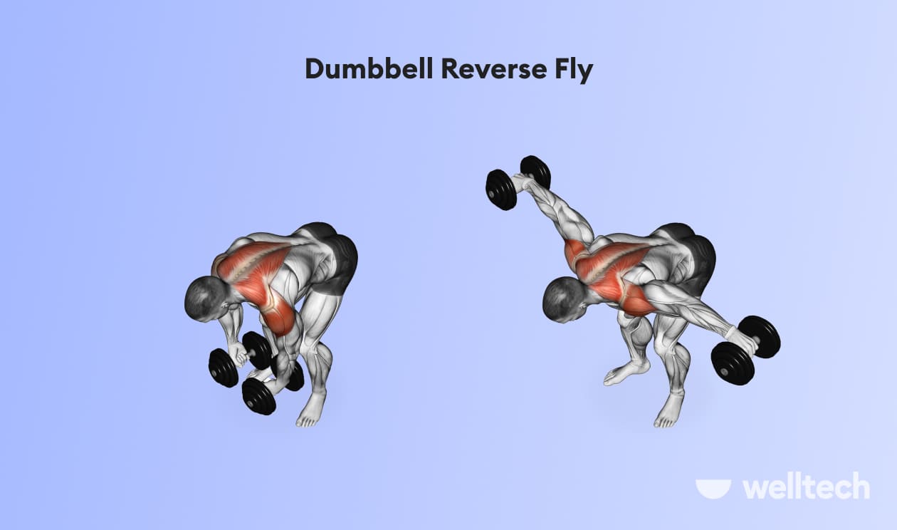 https://welltechdev.wpengine.com/wp-content/uploads/2023/02/Dumbbell-Reverse-Fly_back-and-shoulder-workout.jpg