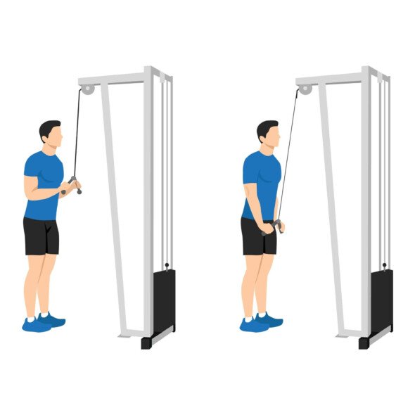 https://welltechdev.wpengine.com/wp-content/uploads/2024/12/Cable-machine-590x590.jpg