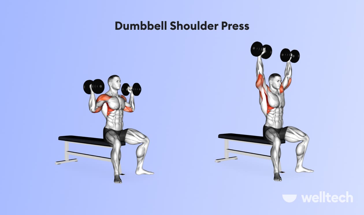 https://welltechdev.wpengine.com/wp-content/uploads/2023/02/Dumbbell-Shoulder-Press_back-and-shoulder-workout.jpg