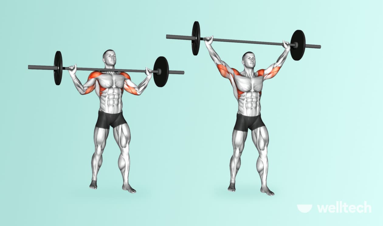 https://welltechdev.wpengine.com/wp-content/uploads/2022/11/3.-Barbell-Overhead-Press_front-delt-exercises.jpg
