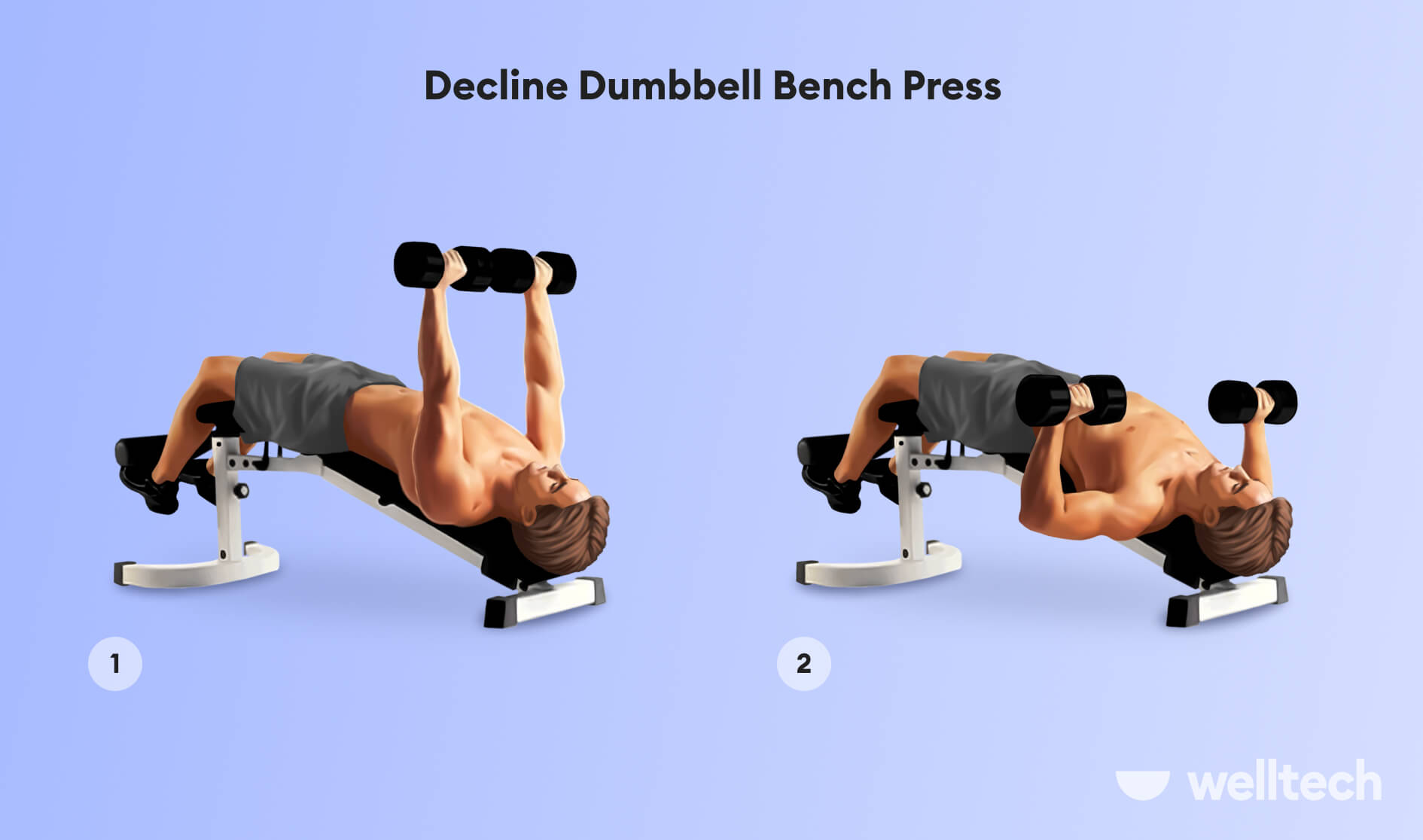 https://welltechdev.wpengine.com/wp-content/uploads/2022/12/Decline-Dumbbell-Bench-Press_inner-chest-workout.jpg