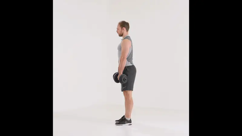 https://welltechdev.wpengine.com/wp-content/uploads/2025/02/Dumbbell-Romanian-Deadlift.webp