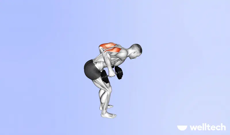 https://welltechdev.wpengine.com/wp-content/uploads/2023/09/triceps_kickbacks_push-workouts.webp