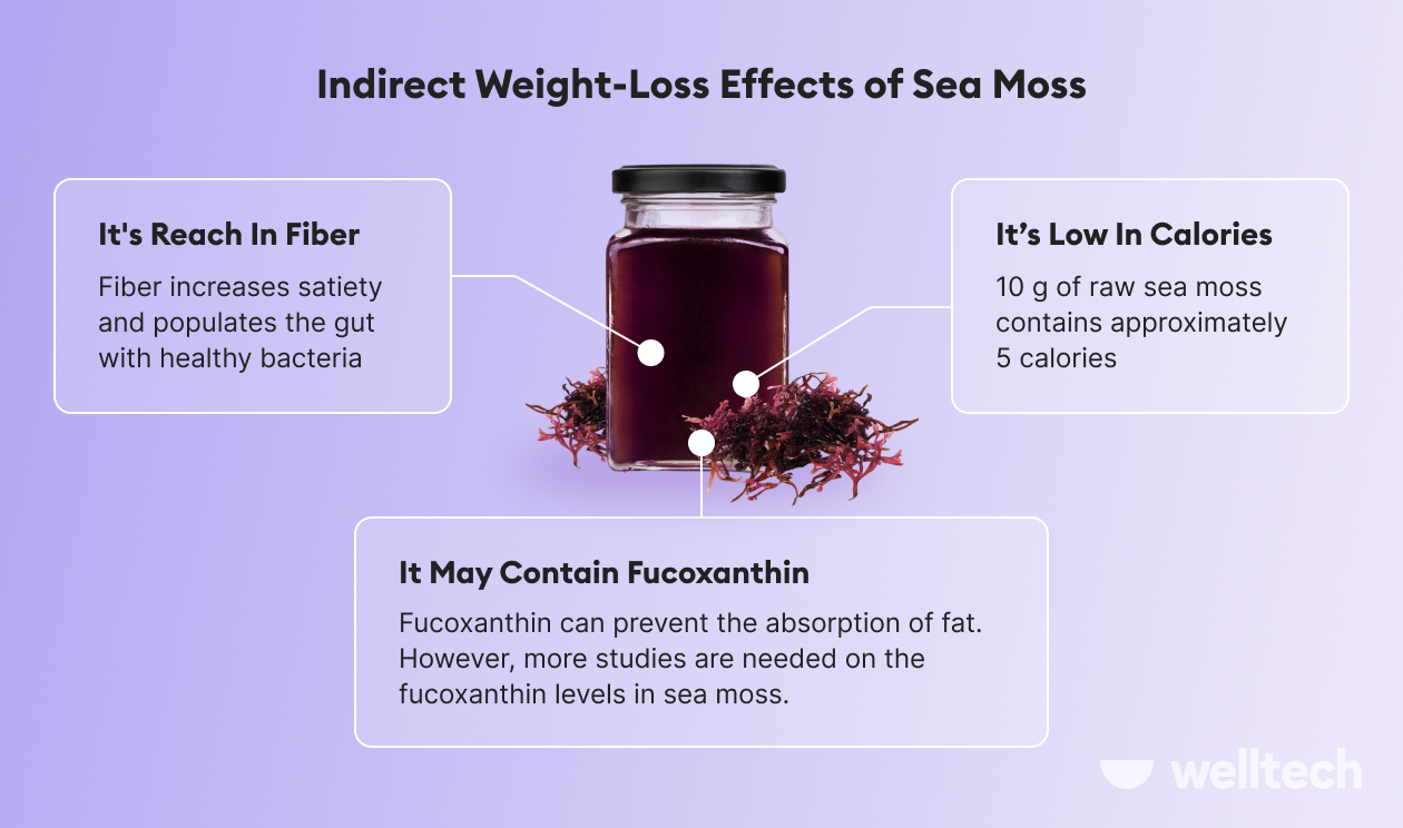 https://welltechdev.wpengine.com/wp-content/uploads/2023/01/Indirect-Weight-Loss-Effects-of-Sea-Moss_sea-moss-for-weight-loss.jpg
