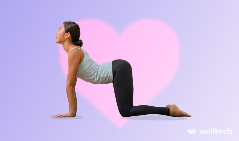 https://welltechdev.wpengine.com/wp-content/uploads/2025/02/cow-pose-992x586.jpg