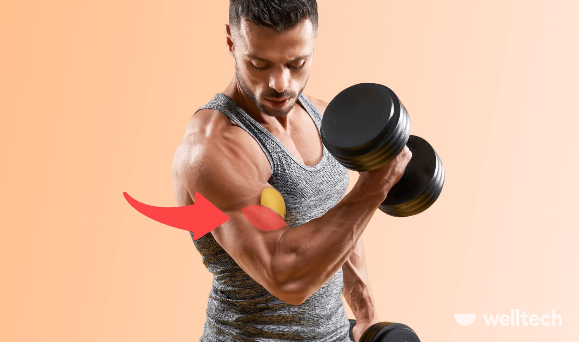 Brachialis Workout to Build Bicep Peaks (Minimal Equipment)