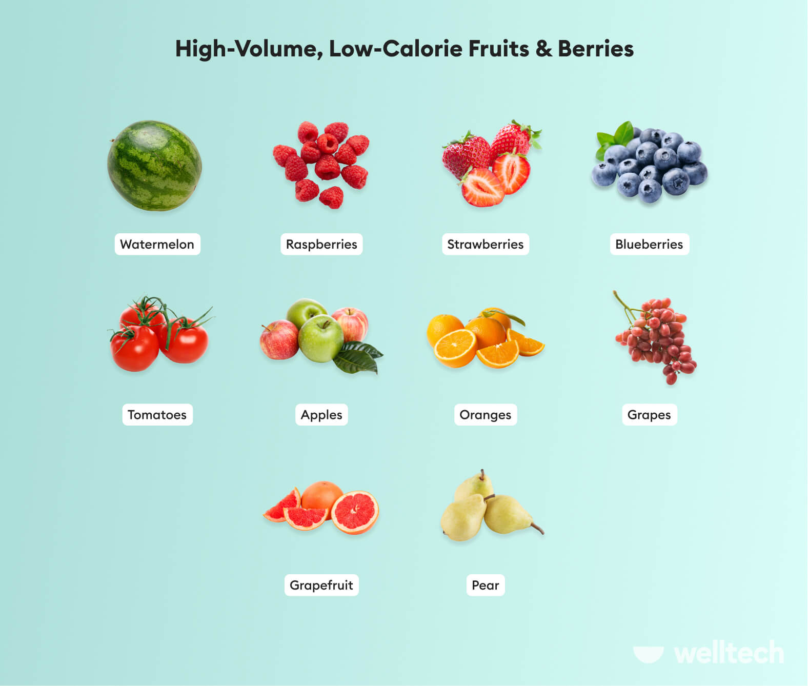 https://welltechdev.wpengine.com/wp-content/uploads/2023/03/high-volume-low-calorie-foods_friuts-and-berries.jpg