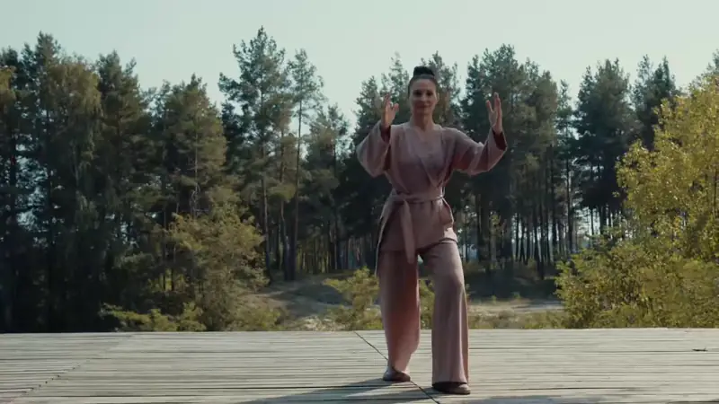 tai chi walking video