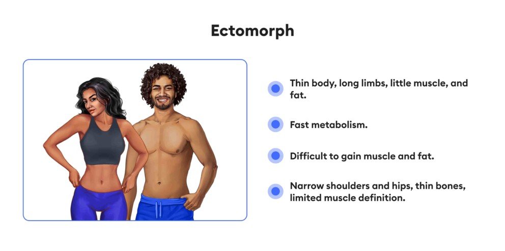 https://welltechdev.wpengine.com/wp-content/uploads/2023/11/Ectomorph_intermittent-fasting-by-body-type-992x494.jpg