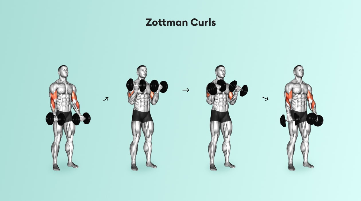 https://welltechdev.wpengine.com/wp-content/uploads/2022/08/zottman-curl-min.jpg