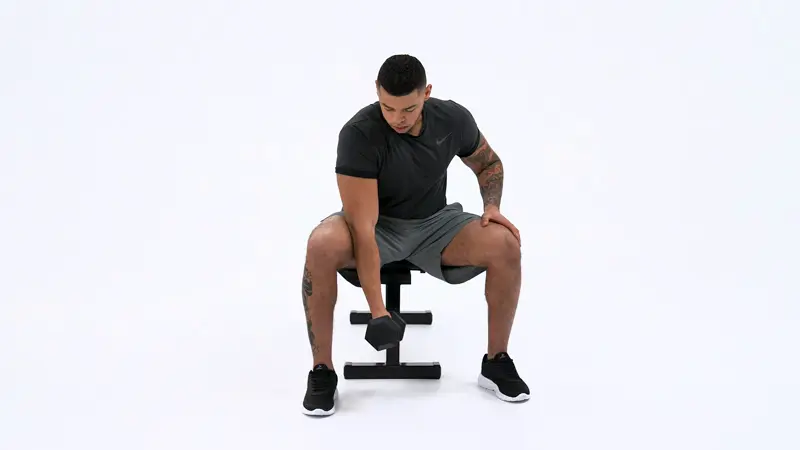 https://welltechdev.wpengine.com/wp-content/uploads/2023/04/Dumbell_Concentration_Curl_short-head-bicep-exercises.webp
