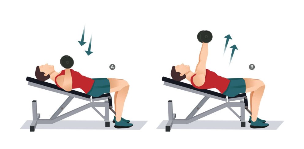 https://welltechdev.wpengine.com/wp-content/uploads/2024/12/Bench-press--scaled-e1733152017488-992x487.jpg