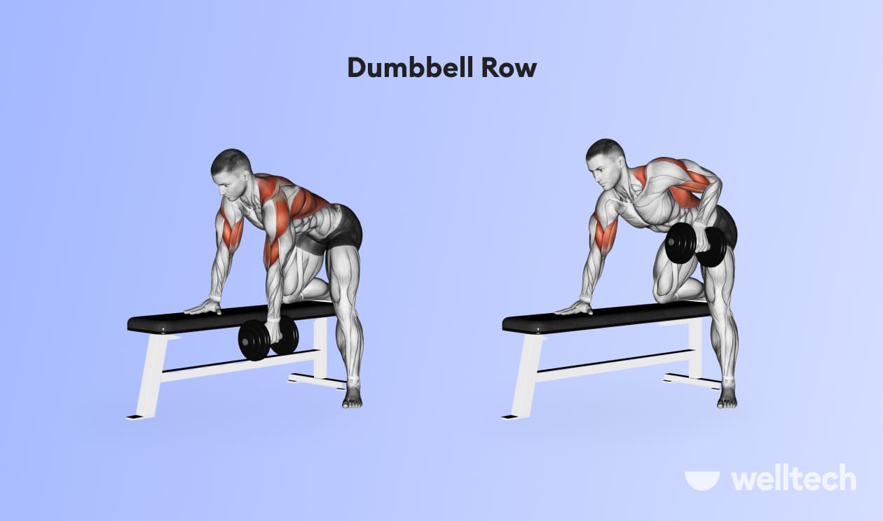 https://welltechdev.wpengine.com/wp-content/uploads/2023/02/Dumbbell-Row_back-and-shoulder-workout.jpg