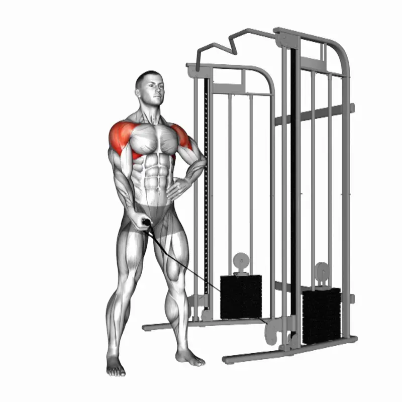 https://welltechdev.wpengine.com/wp-content/uploads/2023/06/one-arm-cable-lateral-raises_side-delt-exercises.webp