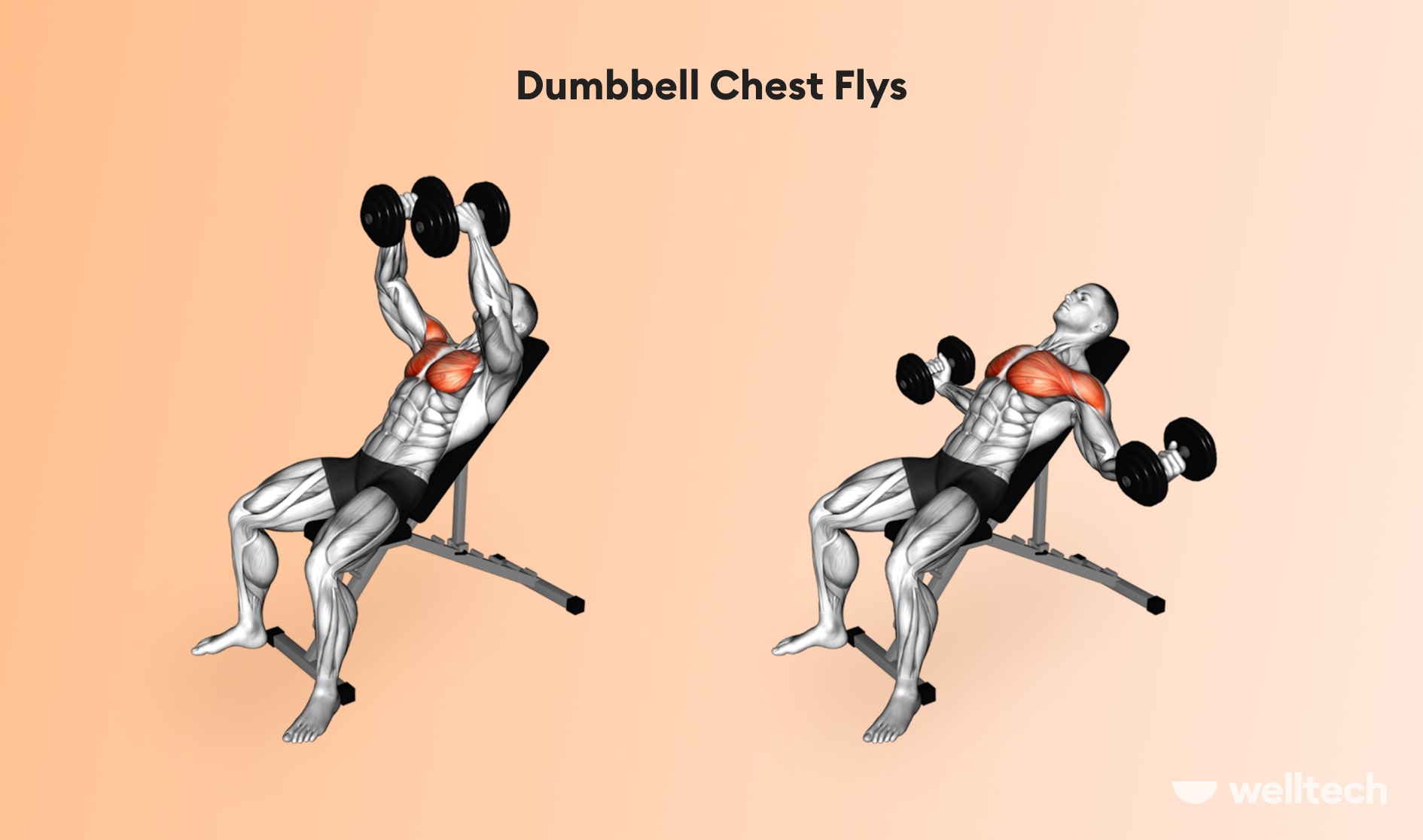 https://welltechdev.wpengine.com/wp-content/uploads/2022/12/Dumbbell-Chest-Flys_chest-and-shoulder-workout.jpg