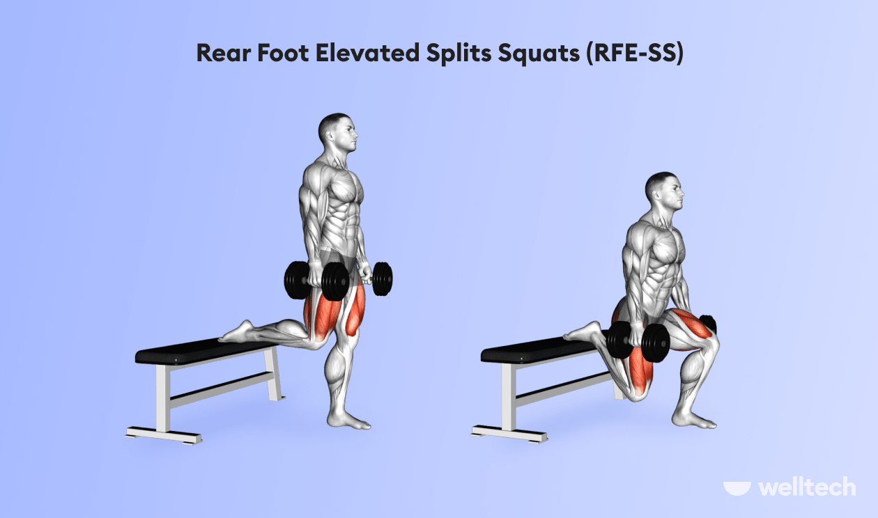 https://welltechdev.wpengine.com/wp-content/uploads/2022/08/8_Rear_Foot_Elevated_Splits_Squats_RFE-SS-min.png