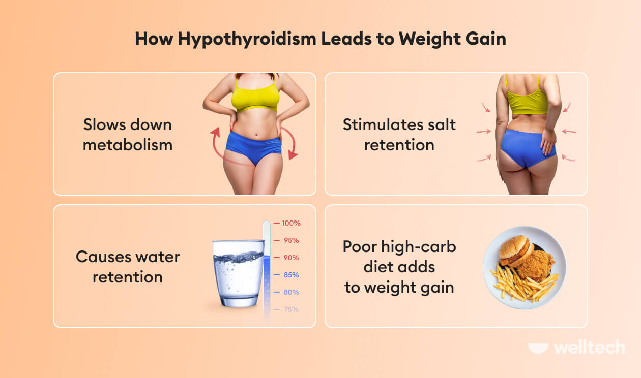 https://welltechdev.wpengine.com/wp-content/uploads/2022/12/How-Hypothyroidism-Leads-to-Weight-Gain_Hypothyroid-And-Intermittent-Fasting.jpg