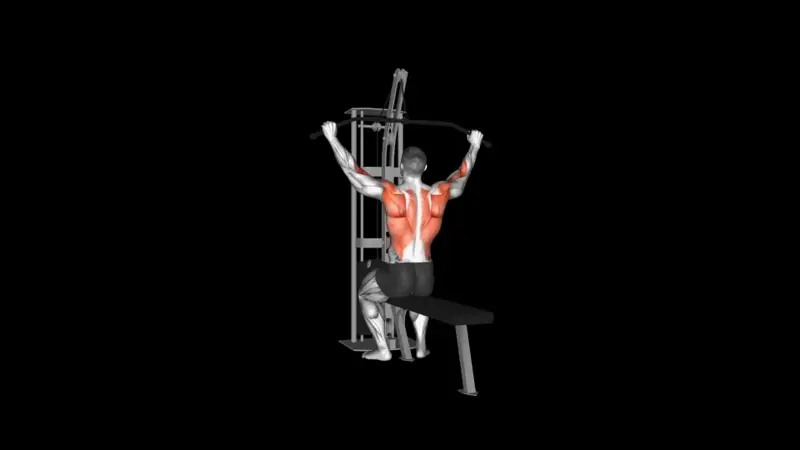 Cable Lat Pulldown . Weight Loss Gym Routine for Beginners